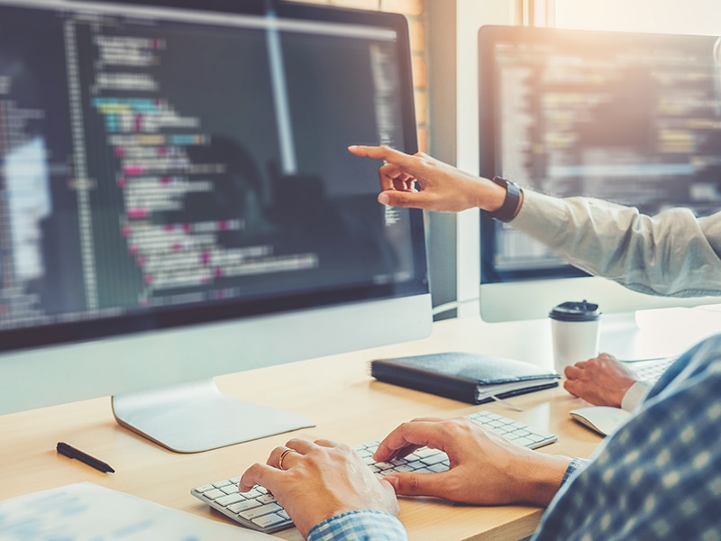 Developing programmer Team Development Website design and coding