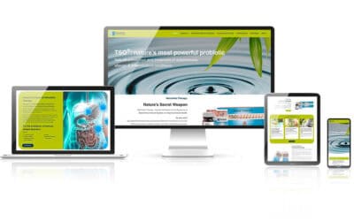 elbephant webdesign agentur norddeutschland hamburg trittau mockup 6 1
